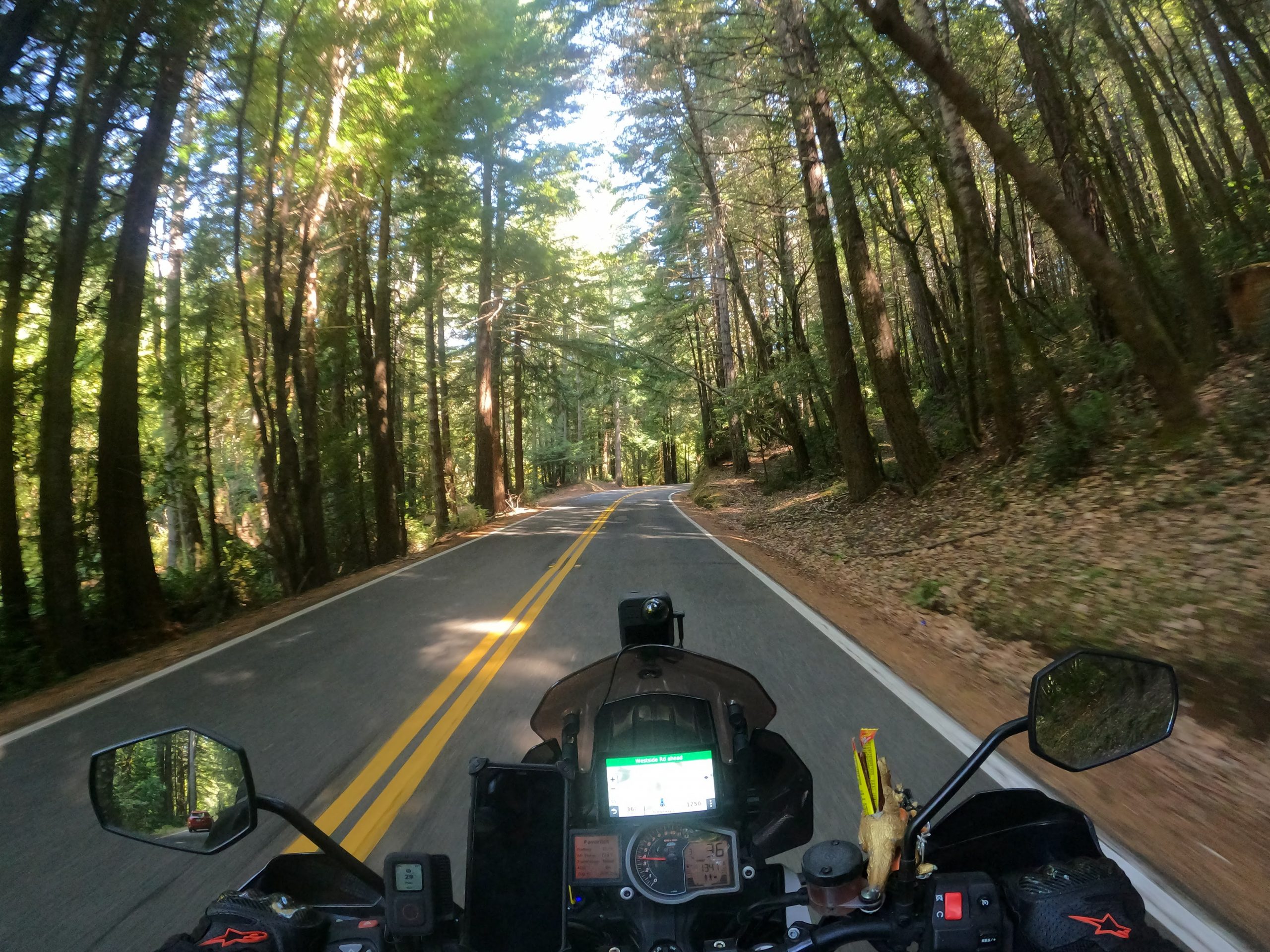 gptempdownload-131-1